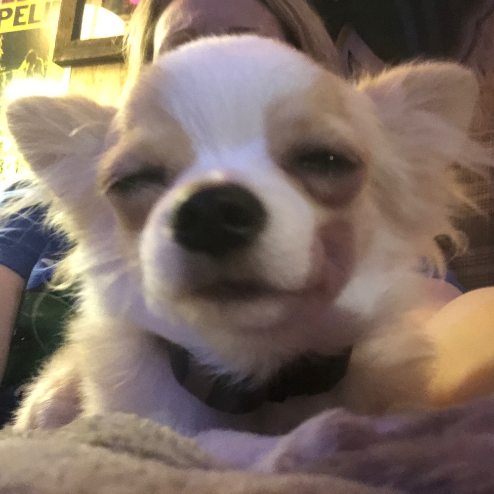 Meet your Posher, Lori